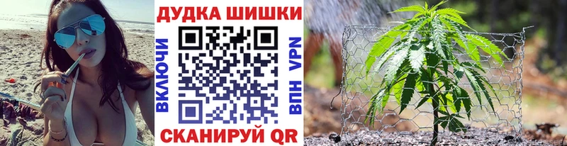 Конопля конопля  Сосновка 